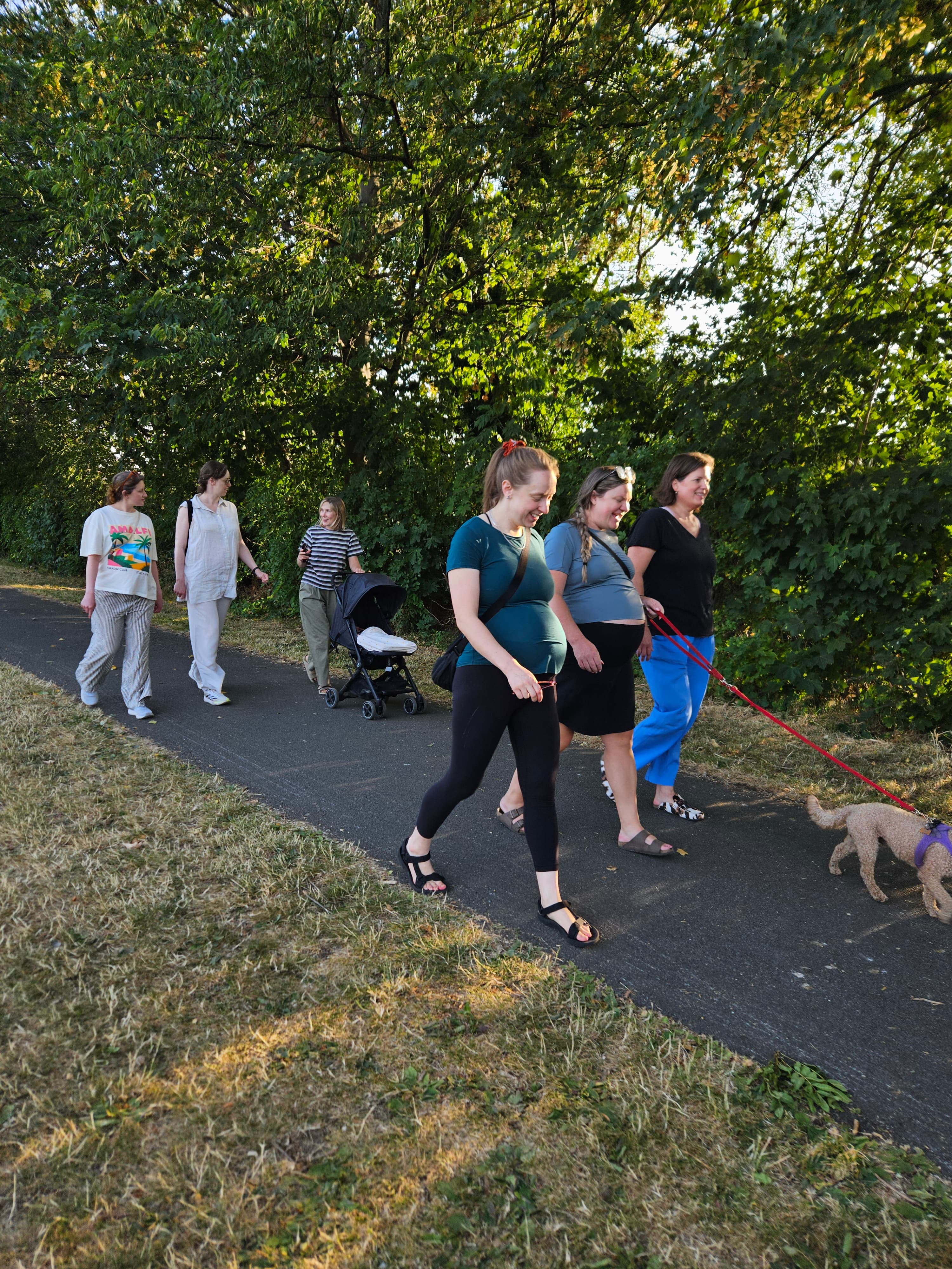 Bumps in the Park walk group along a tree-lined path in south Manchester